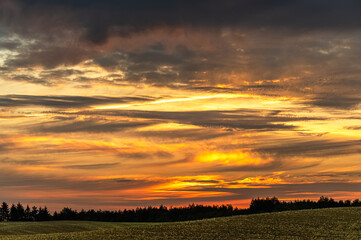 Amazing sunrise in summer in Poland