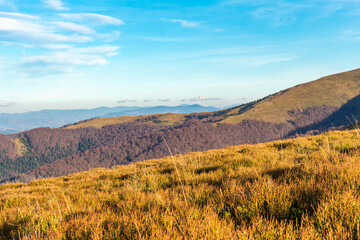 autumn landscape in the Carpathians