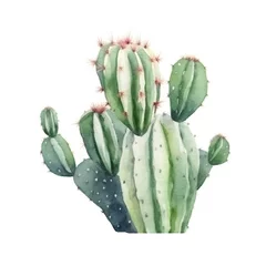Fototapete Kaktus watercolor cactus on white background