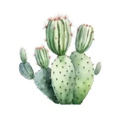Fototapete Kaktus watercolor cactus on white background