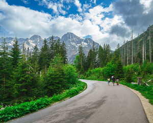 Fototapeta na wymiar A quiet mountain road along which a family of four is walking. Blue sky, white clouds and lush green trees surround the scene of a walking tourist walk. Polish Tatras National Park