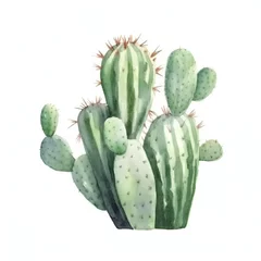 Foto op geborsteld aluminium Cactus watercolor cactus on white background