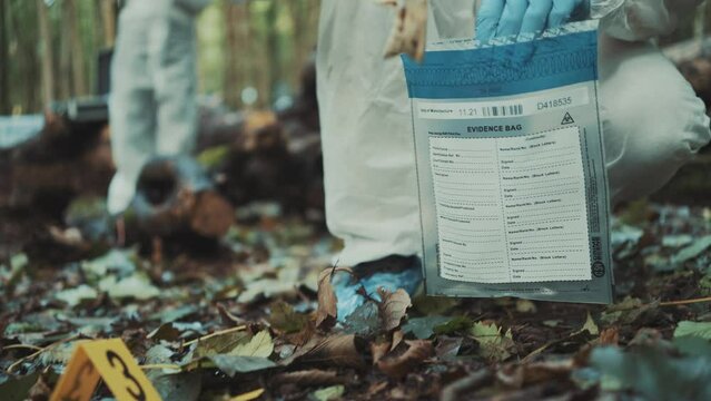Man forensic police investigator putting a human jaw found on the crime scene on the evidences bag in evidences box on a crime scene in the woods