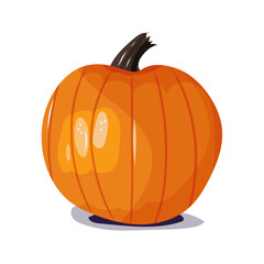Citrouille, légume automne, saison fruits et légumes, illustration vectorielle