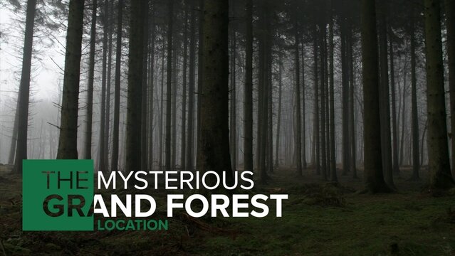 Mysterious clean lower third text animation intro reveal