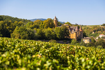 Château de Jarnioux, ancien château fort du XIIIe siècle depuis les vignobles du Beaujolais