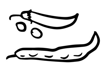 Peas and beans. Monochrome Fresh organic vegetable for farm market, product pakage and shop design. Vector outline doodle illustration isolated on white background.