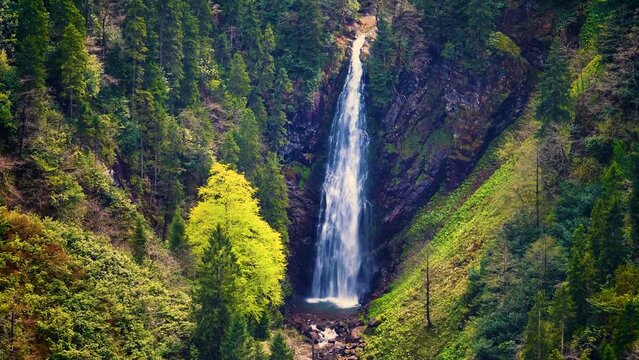 Giant waterfall in the forest in spring. Green trees. High quality aerial view.