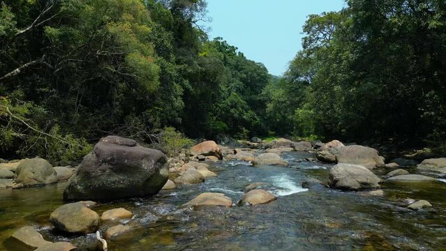 Capture the tranquility of rivers winding through majestic mountains within the heart of a vast, serene rainforest with this stunning aerial footage