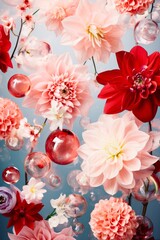 Beautiful background image made of light pink and red flowers with glass Christmas baubles on blue background. 