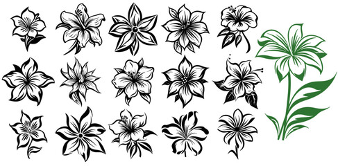 Vector tropical flowers