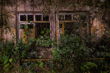 Old abandoned fishing village, houses taken over by plants and jungle. Dois Rios beach on Ilha...