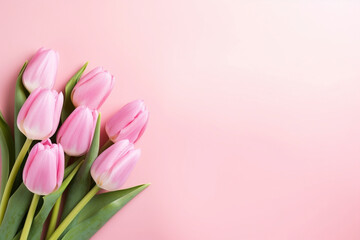 Obraz premium Blossom background spring pink green flower tulip bouquet floral decoration holiday bloom