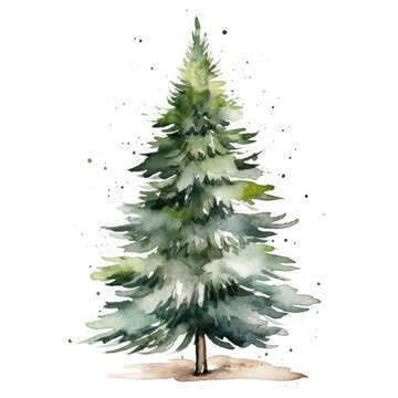 Watercolor Christmas tree in a minimalist hand drawn style on a white background.