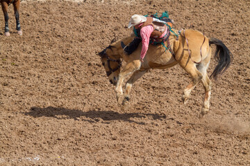Rodeo Bucking Bronco
