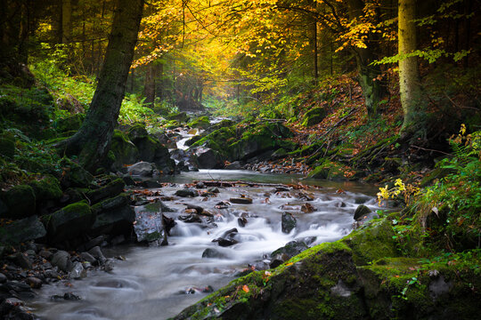 Mountain stream © Grudnik Photography