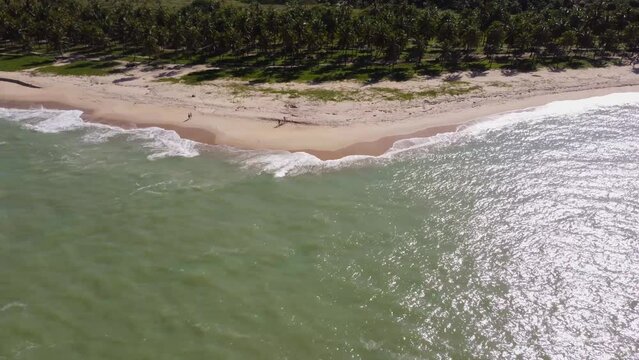 V&iacute;deo a&eacute;reo da praia do Gunga em Macei&oacute;, Alagoas, Nordeste do Brasil, v&iacute;deo 4K