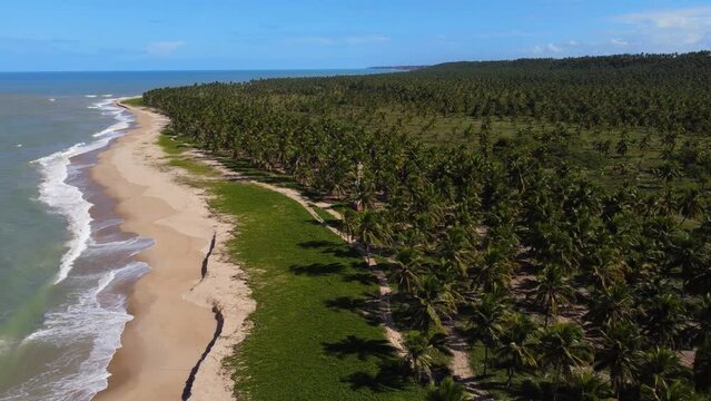 V&iacute;deo a&eacute;reo da praia do Gunga em Macei&oacute;, Alagoas, Nordeste do Brasil, v&iacute;deo 4K