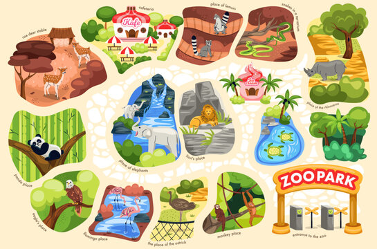 Zoo park map. Poster with different exotic animal and bird, stalls and walkway. Banner with panda and lion, snake and limur, flumpingo and ostrich, turtle and monkey. Cartoon flat vector illustration