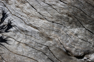 Textura de madera de color gris con líneas de grietas diagonales
