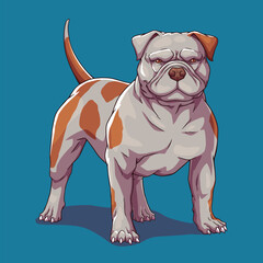 American bully pitbull dog bulldog