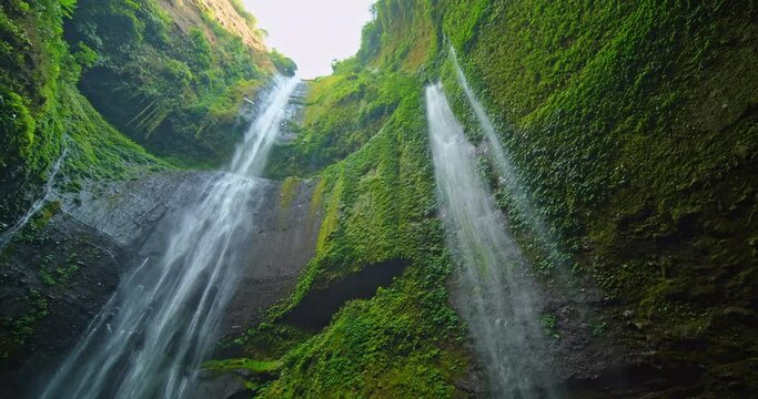 Amazing Beautiful Madakaripura waterfall in tropical rainforest in national park at East Java, Indonesia, Bottom view waterfall landscape for Travel background