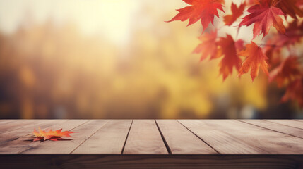 Naklejka na ściany i meble Autumn leaves on the sun and blurred trees . Fall background.