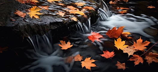 Foto auf Acrylglas Waldfluss flowing colors of autumn with movement.