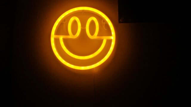 Smiley Face LED Light