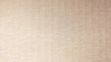 Fototapeta na wymiar brown paper craft canvas long background. Vector paper grange texture template