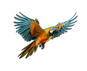 a flying macaw parrots isolated on transparent background