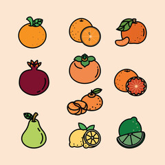 Set of Winter fruit Cute Flat Line Illustration