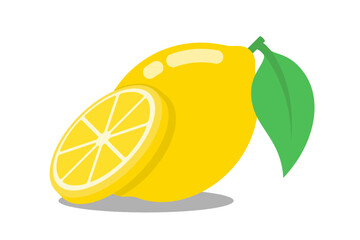 vector fresh lemon slice isolated white background