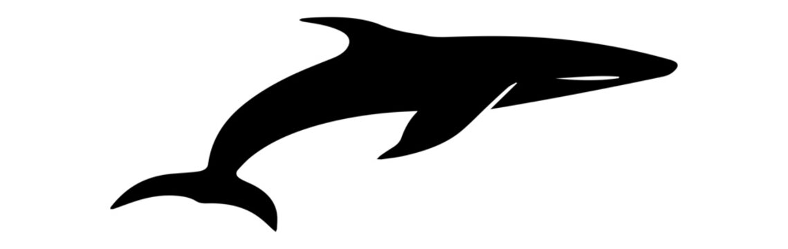 silhouette of a dolphin isolated