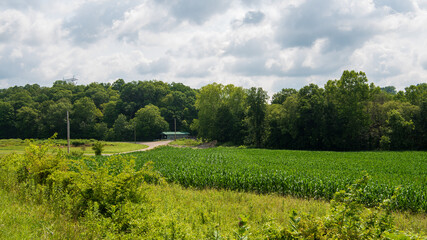 Mount Olive Road Covered Bridge in Vinton County, Ohio
