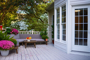 wooden terrace under the blooming crape myrtle tree. lounge zone on the autumn patio