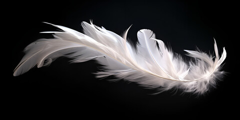 White floating feather isolated on a black background