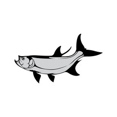 Salmon fish monochrome vector icon or emblem
