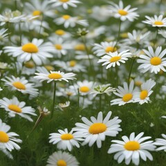 A meadow of daisies that sprout tiny wings and flutter like butterflies when touched by a gentle breeze4