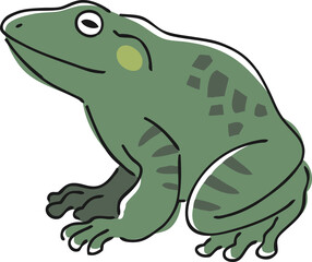 手描きのウシガエルのイラスト