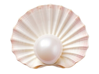 Seashell with pearl isolated on transparent background