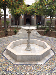 fountain in the garden