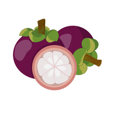 Whole and halved mangosteen set on white background ,vector illustrator.