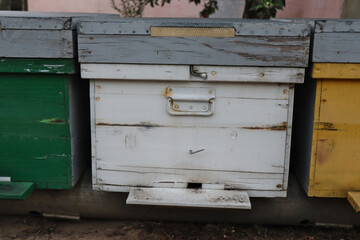 beehive made from wood