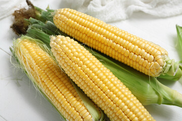 Fresh corn cobs on white table