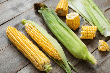 Fresh corn cobs on grey wooden table, closeup