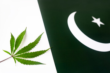 hemp leaf on background of the pakistan flag. Concept of legalization and changes in legislation...