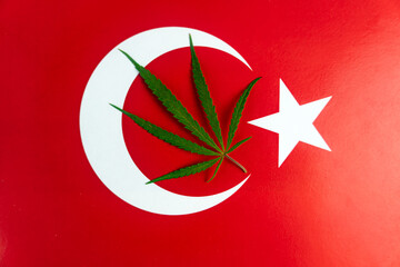 Hemp Leaf Background The Turkish
