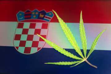 hemp leaf on background of the croatian flag. Concept of legalization and changes in legislation...