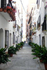 Fototapeta na wymiar Narrow streets in the old quarter of the Mediterranean town of Blanes in the province of Barcelona, Catalonia, Spain.